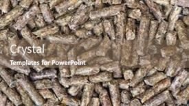  Presentation with hamsters - Colorful presentation design enhanced with pile-of-dry-grass-pellets backdrop and a coral colored foreground