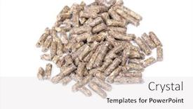  Presentation with hamsters - Theme enhanced with pile-of-dry-grass-pellets background and a light gray colored foreground