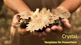  Presentation with dry forest - Slide deck having pile of dry leaves background and a tawny brown colored foreground