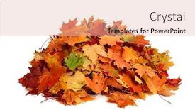  Presentation with fall leaves - Presentation theme consisting of pile-of-fall-colorful-maple background and a lemonade colored foreground