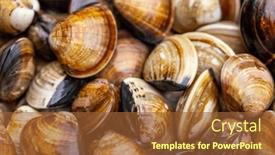  Presentation with clam - Slide deck having pile-of-fresh-the-clam background and a tawny brown colored foreground