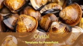  Presentation with clam - Slides consisting of pile-of-fresh-the-clam background and a red colored foreground
