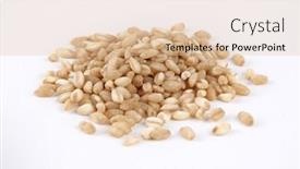  Presentation with rice grain - Presentation design with pile-of-grain-brown-rice background and a lemonade colored foreground