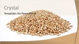  Presentation with rice grain - Slide deck featuring pile-of-grain-brown-rice background and a lemonade colored foreground