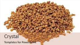  Presentation with lentils - Presentation theme enhanced with pile-of-lentils-isolated background and a coral colored foreground