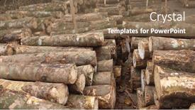  Presentation with lumber - Audience pleasing presentation consisting of pile-of-logs-at-lumber backdrop and a violet colored foreground