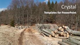  Presentation with cut - Audience pleasing slides consisting of pile-of-logs-cut backdrop and a tawny brown colored foreground
