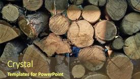  Presentation with cut - Slides enhanced with pile-of-logs-cut background and a tawny brown colored foreground