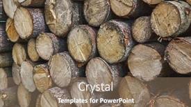  Presentation with cut - Presentation theme with pile-of-logs-cut background and a  colored foreground