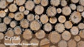  Presentation with wood log - Cool new PPT theme with pile of logs cut backdrop and a tawny brown colored foreground