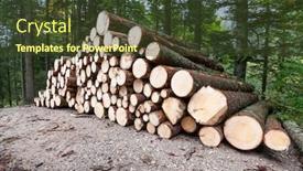  Presentation with lumber - Presentation theme consisting of pile-of-lumber background and a tawny brown colored foreground