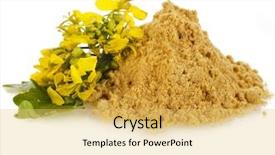  Presentation with powder - Theme with pile of mustard powder isolated background and a yellow colored foreground