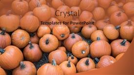  Presentation with harvest - Slides enhanced with pile-of-orange-pumpkins-during background and a red colored foreground
