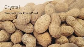  Presentation with shells - 