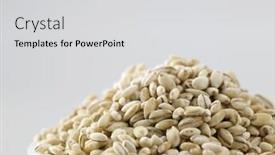  Presentation with pearl - Slide set featuring pile of pearl barley isolated on white background background and a light gray colored foreground