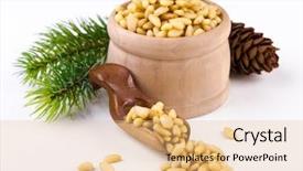  Presentation with pine - Audience pleasing PPT layouts consisting of pile of pine nuts backdrop and a coral colored foreground