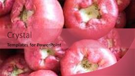 Presentation with pink rose - PPT layouts with pile-of-pink-rose-apple background and a coral colored foreground