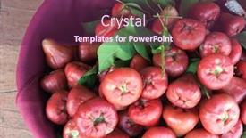  Presentation with pink rose - Colorful PPT theme enhanced with pile-of-pink-rose-apple backdrop and a tawny brown colored foreground