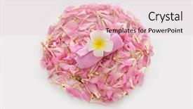  Presentation with pile of pine pellets - Cool new presentation with pile of pink tropical petals backdrop and a lemonade colored foreground