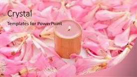  Presentation with candle - Beautiful slides featuring pile of pink tropical petals backdrop and a lemonade colored foreground