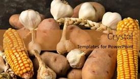  Presentation with corn cobs - Presentation enhanced with pile-of-potatoes-corn-cobs background and a gold colored foreground