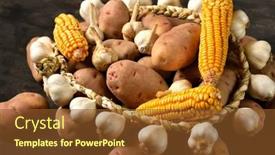  Presentation with corn cobs - Slide deck consisting of pile-of-potatoes-corn-cobs background and a tawny brown colored foreground