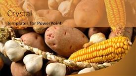  Presentation with corn cobs - PPT theme with pile-of-potatoes-corn-cobs background and a gold colored foreground