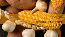  Presentation with corn cobs - Slide set consisting of pile-of-potatoes-corn-cobs background and a gold colored foreground