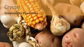  Presentation with corn cobs - PPT theme enhanced with pile-of-potatoes-corn-cobs background and a gold colored foreground