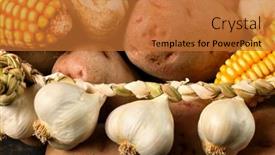  Presentation with corn cobs - Presentation design having pile-of-potatoes-corn-cobs background and a red colored foreground