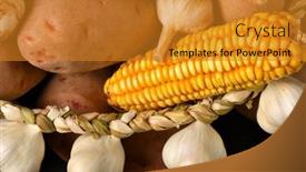  Presentation with corn cobs - PPT layouts having pile-of-potatoes-corn-cobs background and a gold colored foreground