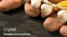  Presentation with corn cobs - PPT theme enhanced with pile-of-potatoes-corn-cobs background and a dark gray colored foreground