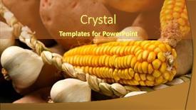  Presentation with corn cobs - PPT layouts enhanced with pile-of-potatoes-corn-cobs background and a red colored foreground