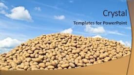  Presentation with potato - Audience pleasing presentation theme consisting of pile of potatoes backdrop and a light blue colored foreground