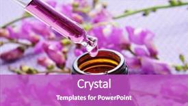  Presentation with pile - Presentation having pile of purple flower background and a purple colored foreground