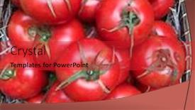 Presentation with container - Beautiful PPT theme featuring pile-of-ripe-tomatoes backdrop and a red colored foreground