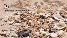  Presentation with seashells museum - PPT layouts having pile of seashells on sand shore background and a coral colored foreground