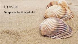  Presentation with sand - Slide deck featuring pile of seashells on the sand of a beach background and a lemonade colored foreground