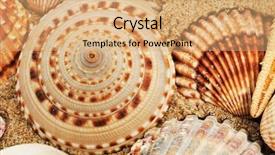  Presentation with sand - Presentation design enhanced with pile of seashells on the sand background and a coral colored foreground