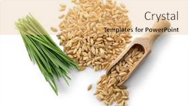  Presentation with seeds - Amazing presentation having pile of seeds wheat grass and scoop on white background backdrop and a coral colored foreground