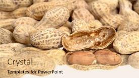  Presentation with circus - PPT theme featuring pile-of-shelled-circus-peanuts background and a coral colored foreground