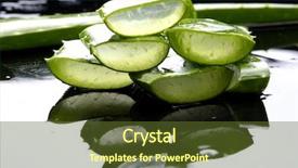  Presentation with reflection - Cool new PPT theme with pile of slice sloe plant backdrop and a tawny brown colored foreground