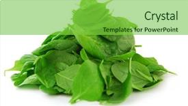  Presentation with spinach - Presentation enhanced with pile of spinach isolated background and a seafoam green colored foreground