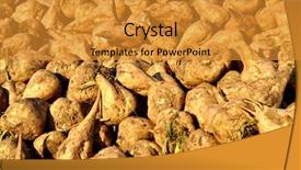  Presentation with sugar - Slide deck consisting of pile of sugar beets background and a gold colored foreground
