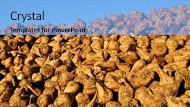  Presentation with sugar - Amazing slides having pile of sugar beets backdrop and a light blue colored foreground