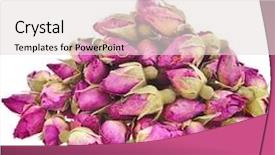  Presentation with 3d isolated t rex head - Colorful theme enhanced with pile of tea-rose buds backdrop and a lemonade colored foreground