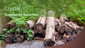  Presentation with plant - Amazing slide set having pile-of-timber-logs backdrop and a tawny brown colored foreground