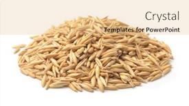  Presentation with grains - PPT theme having pile-of-whole-oats-grains background and a lemonade colored foreground