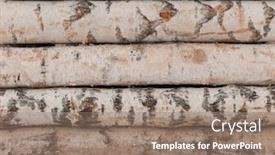  Presentation with pile - Presentation theme enhanced with pile-of-wood-logs-stumps background and a coral colored foreground