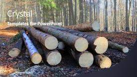  Presentation with pile - Slide deck with pile-of-wooden-logs-lie background and a gray colored foreground